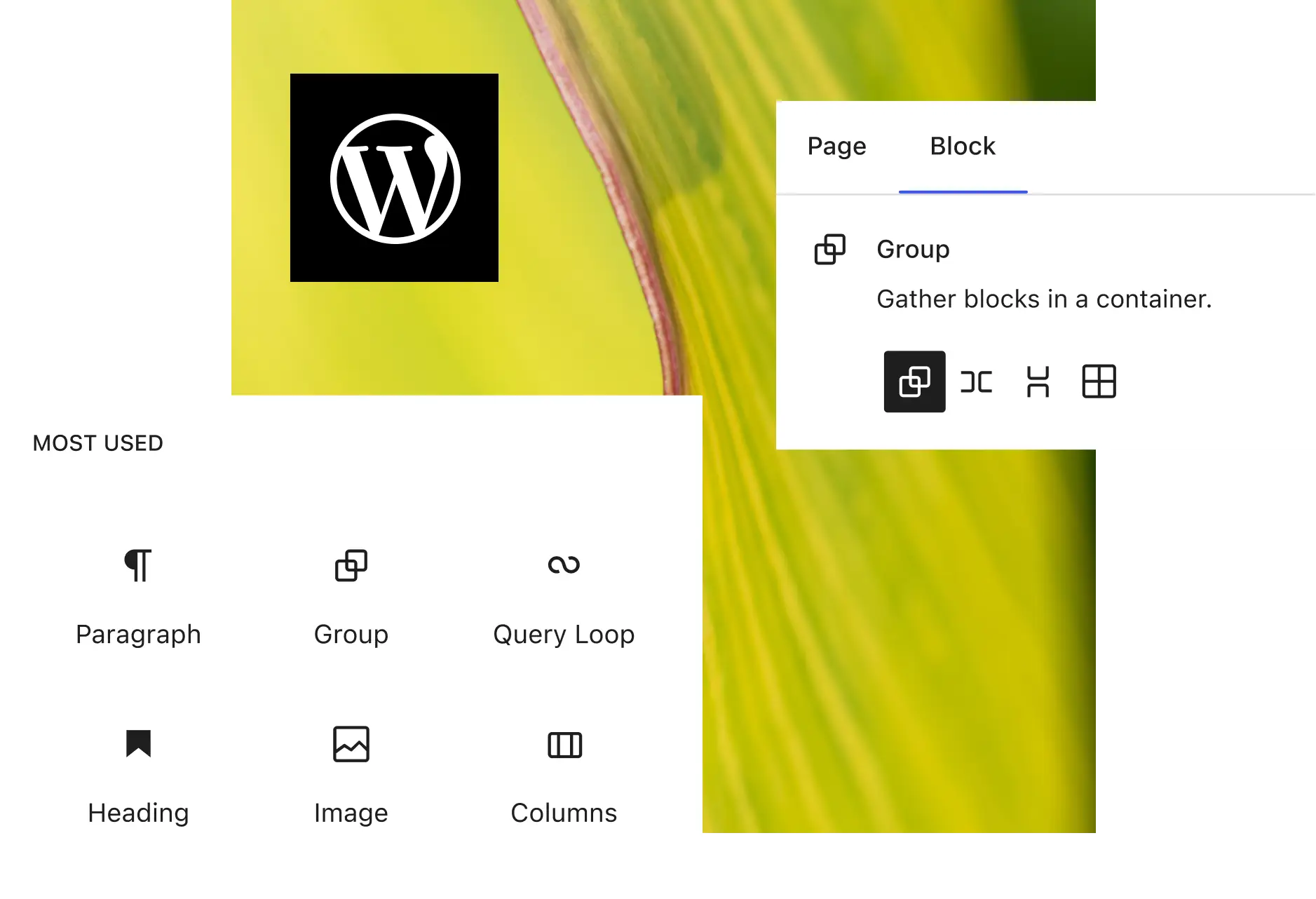 WordPress izstrādes pakalpojumi